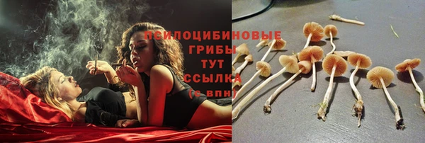 стаф Абдулино