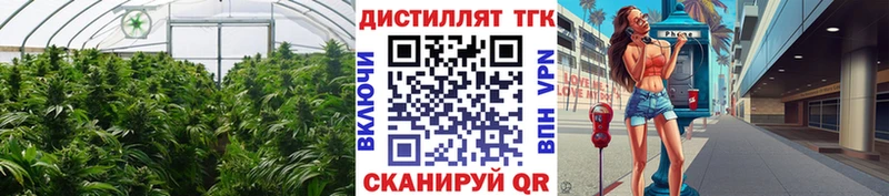 Дистиллят ТГК концентрат  Саратов 