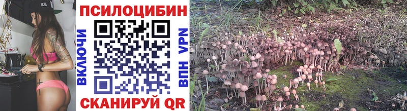 Галлюциногенные грибы Psilocybine cubensis  мориарти Telegram  Саратов  гидра маркетплейс 
